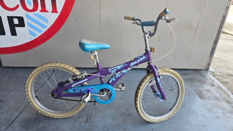 BICICLETA  20"  SCHWINN MORADA