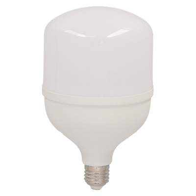 BOMBILLO PROW LED PLB-40G 50W E27 6500K